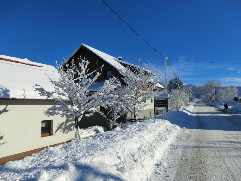 Ethno House Izvor 호텔 Vrelo Koreničko 외부 사진