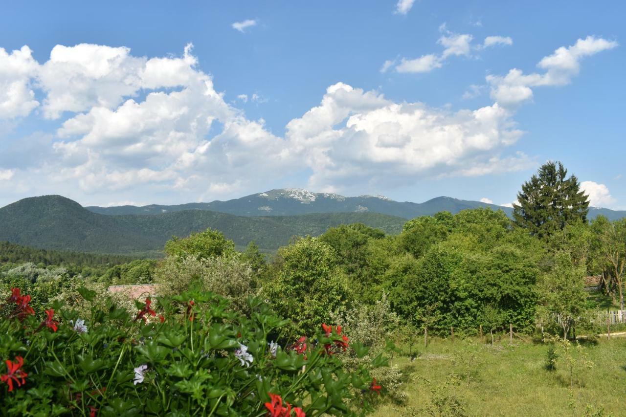 Ethno House Izvor 호텔 Vrelo Koreničko 외부 사진